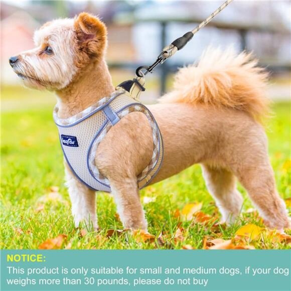 Dog Harness with Leash Set, No Pull Adjustable Reflective Step-in Puppy Harness - Picture 4 of 8